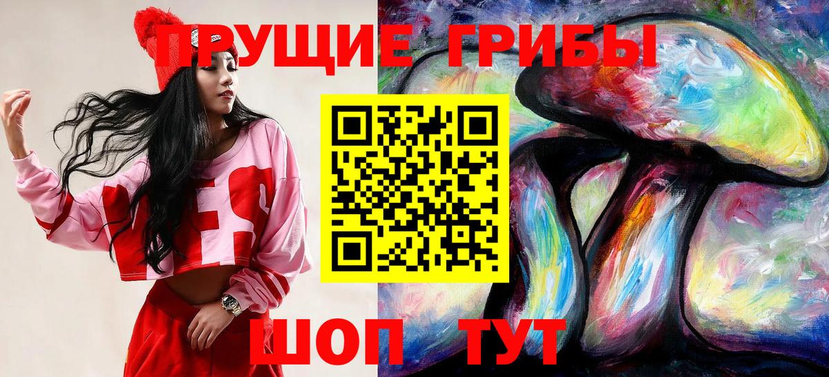 Галлюциногенные грибы мицелий  Вход с VPN  Галлюциногенные грибы GOLDEN TEACHER  Курчатов 