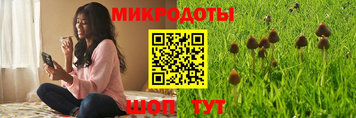 Галлюциногенные грибы мухоморы Курчатов