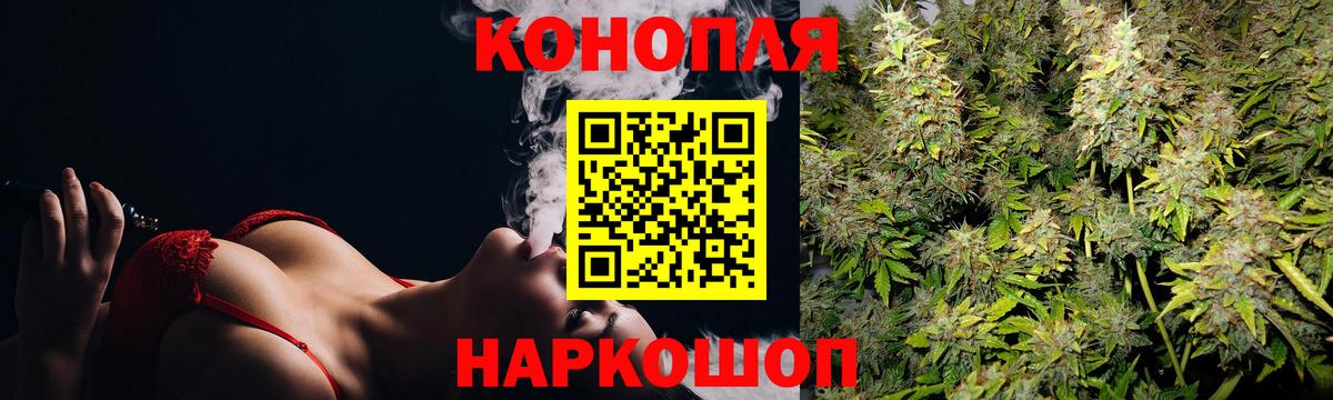 Бошки Шишки семена Курчатов